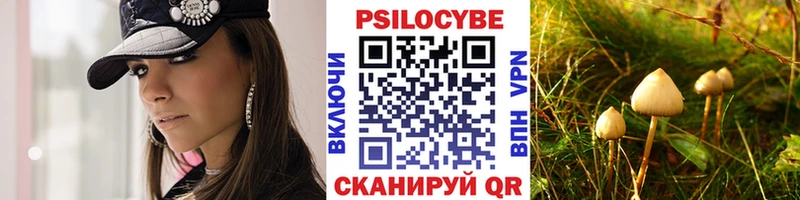 Псилоцибиновые грибы Psilocybe Купить где Хотьково